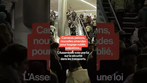 L’assemblée vote une loi sur la sécurité dans les transports.