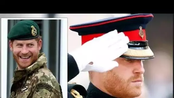 Le prince Harry a "aliéné sa deuxième famille" après avoir "enfreint le régime militaire non écrit"