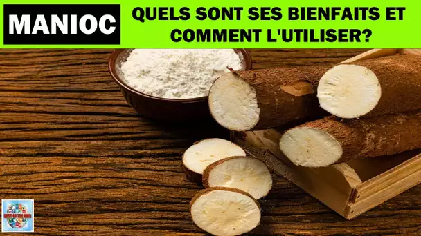 Le manioc et ses vertus santé & Comment utiliser le manioc