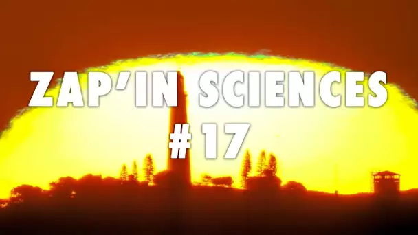 Zap'In Sciences #17 - L'Esprit Sorcier