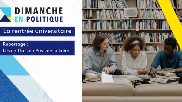 Rentrée universitaire : les chiffres en Pays de la Loire