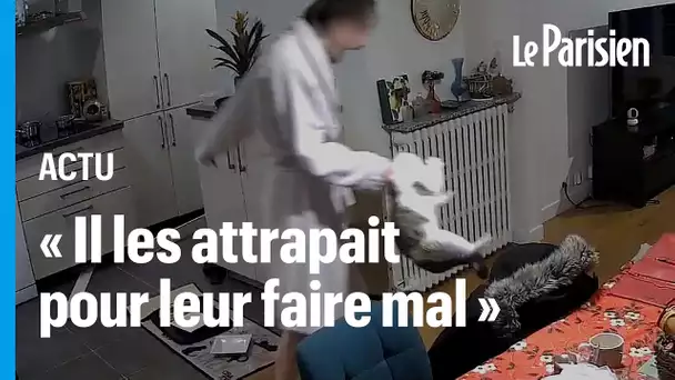 Son conjoint maltraite ses quatre chats, elle le piège en installant une caméra de surveillance