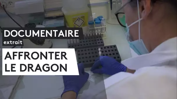 Doc "Affronter le dragon", Julie technicienne de labo évoque son rôle dans la lutte contre le cancer