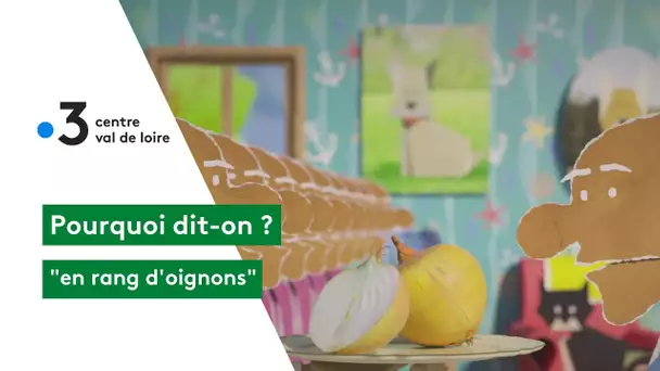 Pourquoi dit-on : en rang d'oignons ?