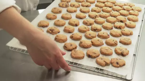 Allergies : des biscuits sans allergènes