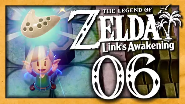 ZELDA LINK'S AWAKENING EPISODE 6 | ON A TROUVÉ L'OCARINA ! NINTENDO SWITCH