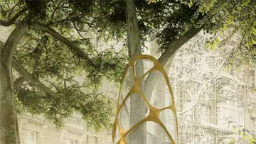 Une sieste dans un arbre en plein centre-ville sera bientôt possible !