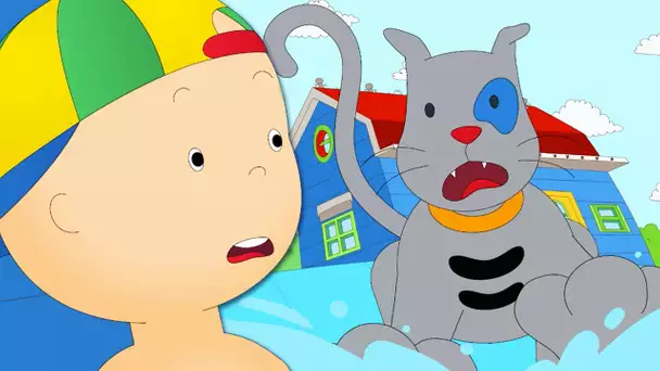 Caillou et la Bataille D'eau | Caillou en Français