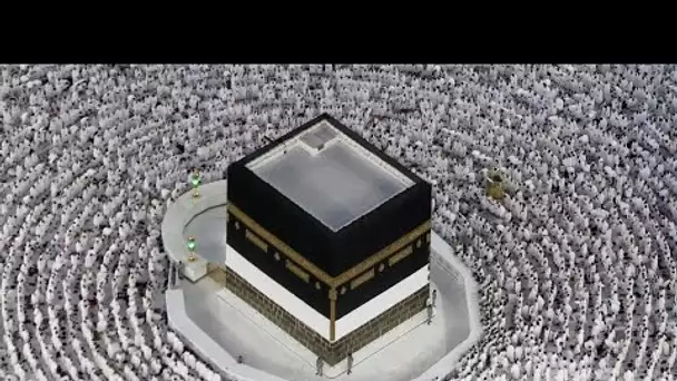 Arabie saoudite : plus de deux millions de fidèles à la Mecque pour le hajj • FRANCE 24