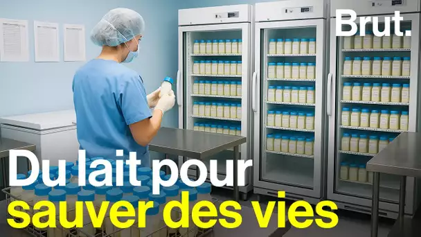 À l'hôpital Necker, un lactarium pour sauver les bébés prématurés