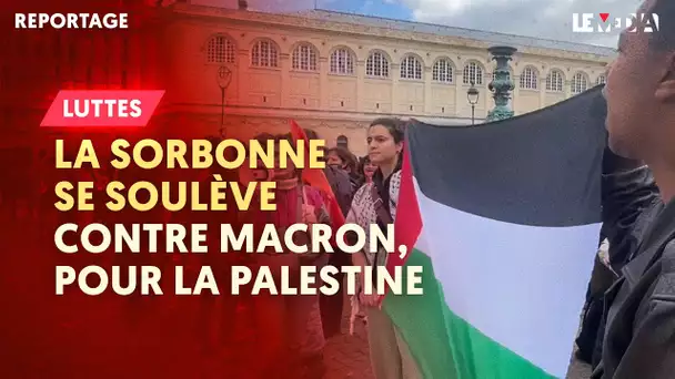 "PAS UNE GUERRE, MAIS UN GÉNOCIDE" : LA SORBONNE SE SOULÈVE CONTRE MACRON, POUR LA PALESTINE