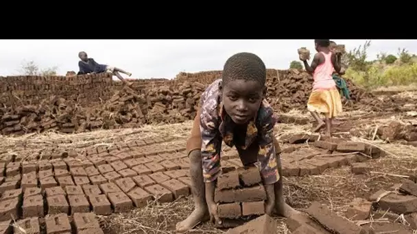 Hausse du travail des enfants depuis vingt ans : "Nous sommes tous responsables"