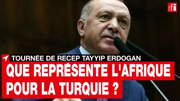 Tournée de Recep Tayyip Erdogan en Afrique de l'Ouest -  • RFI