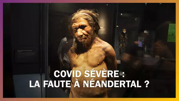 Serions-nous plus sensibles au Covid-19 à cause de l'homme de Néandertal ?