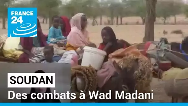 Soudan : des combats à Wad Madani • FRANCE 24