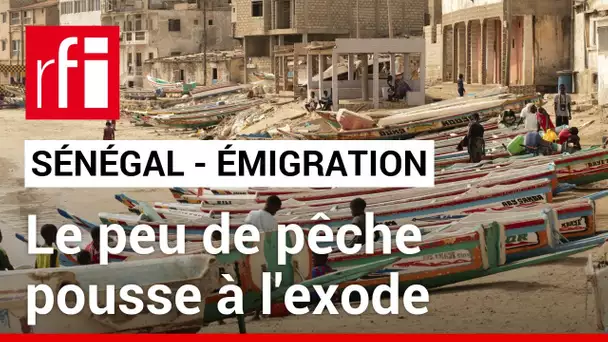 Sénégal [3]- Émigration irrégulière : le manque de poissons pousse vers l'exode • RFI