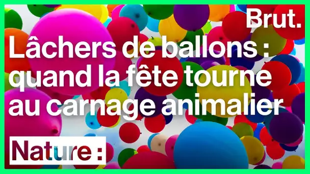 Les ballons de baudruche tuent