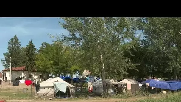Des milliers de migrants tentent de traverser la frontière serbo-hongroise