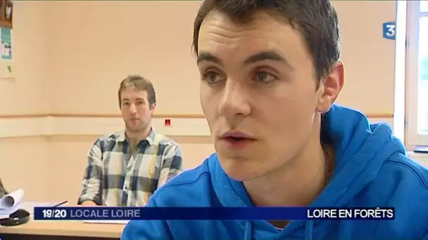 Loire : le bois au coeur de l&#039;économie. Rencontres nationales des communes forestières.