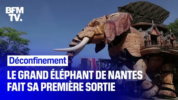 Le grand éléphant mécanique de Nantes est déconfiné lui aussi 🐘