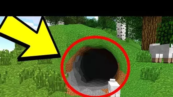 UN MONDE MINECRAFT SANS AUCUN CUBES ! 😳