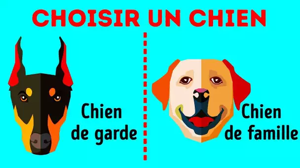 Un Guide Complet Pour Trouver le Chien Qui te Correspond le Mieux