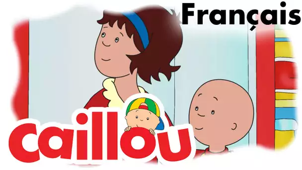 Caillou FRANÇAIS - Châton perdu (S05E24) | conte pour enfant | Caillou en Français