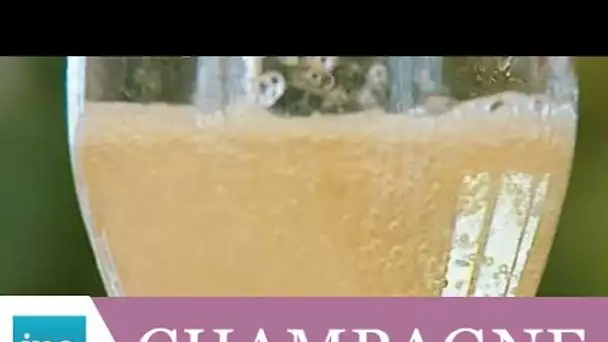 Les tonneaux, le paradis du champagne - Archive INA