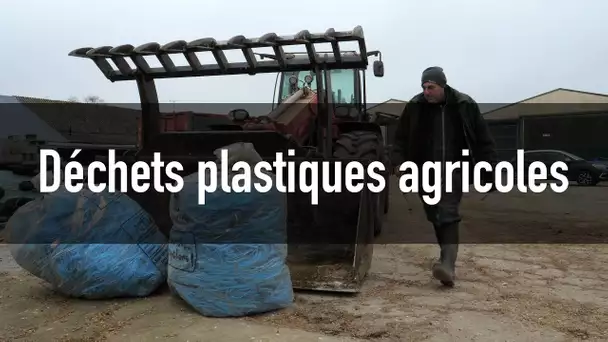 Plastiques agricoles : vers de 100 % de recyclage en 2025