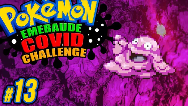 Il est DE RETOUR 😭 #13 - Pokémon EMERAUDE C🅾️VID CHALLENGE