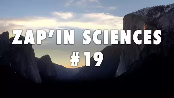 Zap'In Sciences #19 - L'Esprit Sorcier