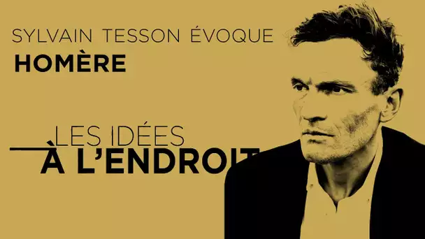 Les idées à l'endroit - Exclusif : Sylvain Tesson évoque Homère