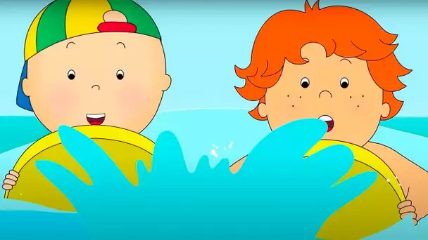 Nager dans la mer | Caillou en Français