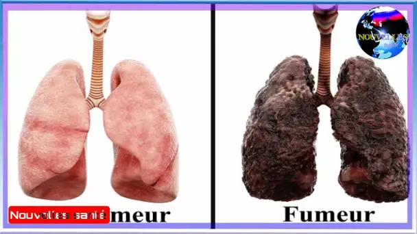 Explique ce que fumer tous les jours dans tes poumons