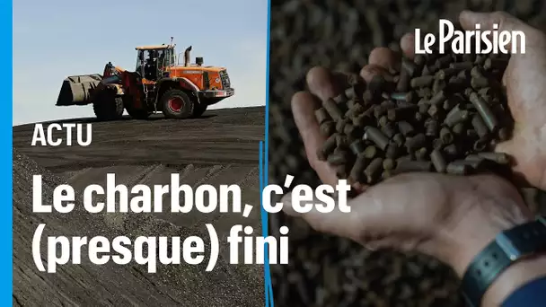 Des pellets de bois à la place du charbon : la centrale de Saint-Avold se convertit à la biomasse