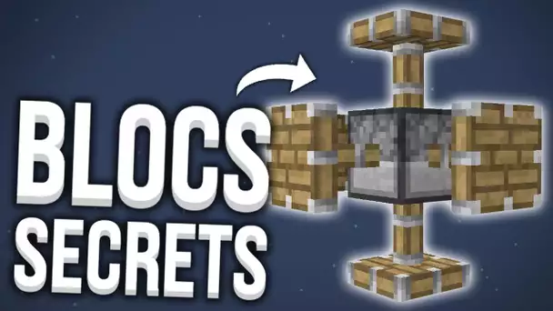 LES BLOCS CACHÉS DE MINECRAFT...