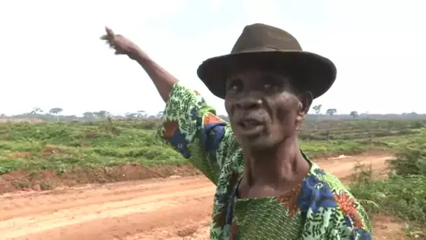 Une vie d'esclave pour l'huile de palme