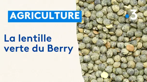 La lentille verte du Berry