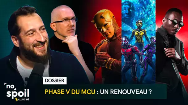 Êtes-vous Hype par la Phase V du MCU ? | (NO) SPOIL #18