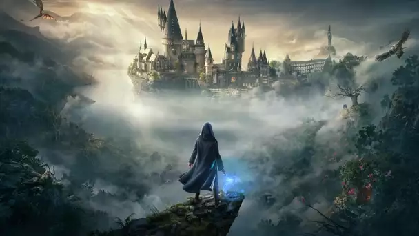 Hogwarts Legacy : L'Héritage de Poudlard : la date de sortie serait repoussée à 2023