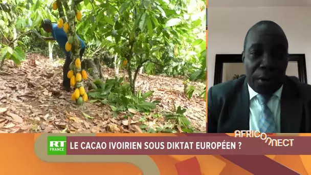 Africonnect - Le cacao ivoirien sous diktat européen ?