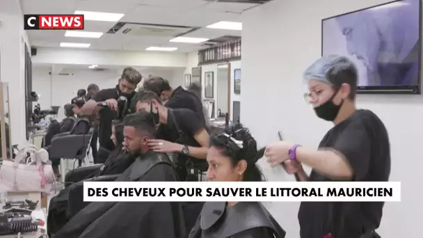 Des cheveux pour sauver le littoral mauricien