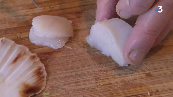 Recette de Noel spécial Poisson et coquille Saint Jacques