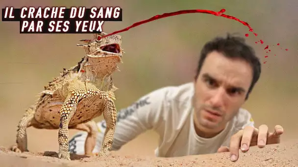 Les plus étranges réflexes des animaux !