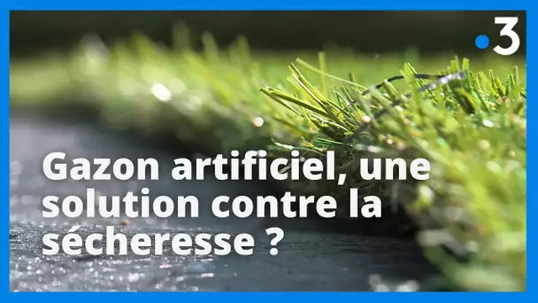 Le boom de la pelouse synthétique avec la sécheresse