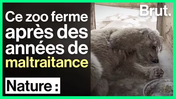 Maltraitance animale : le zoo de Marghazar ferme ses portes