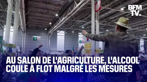 "On boit un coup, on profite des bonnes choses": au Salon de l'agriculture, l'alcool coule à flot