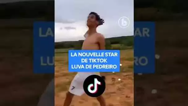 Luva de Pedreiro, la nouvelle star de TikTok