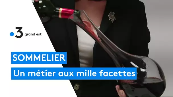 Sommelier, un métier aux mille facettes