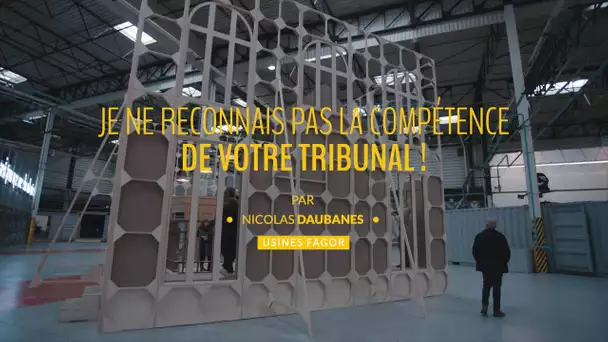 Biennale d'art contemporain Lyon : Je ne reconnais pas la compétence de votre tribunal de N.Daubanes